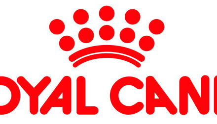 Krmivo Royal Canin