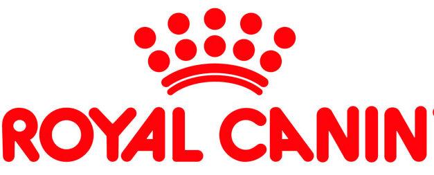 Krmivo Royal Canin