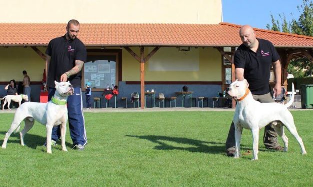 Moloss Camp – „Do koča aj do voza“ je za nami
