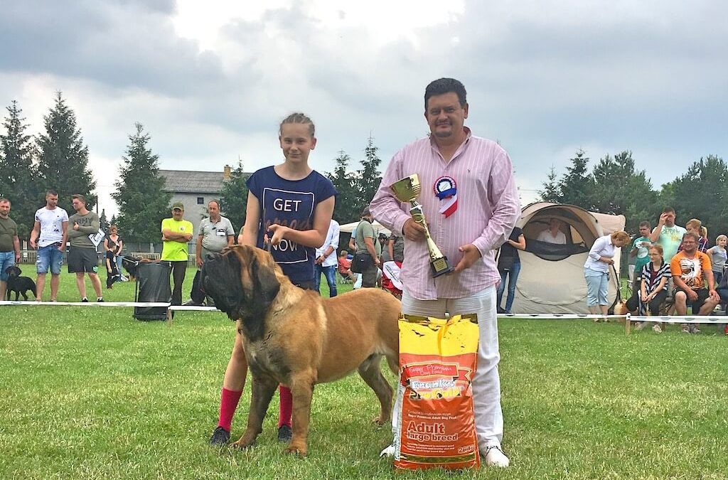 Špeciálna výstava 3.6.2018